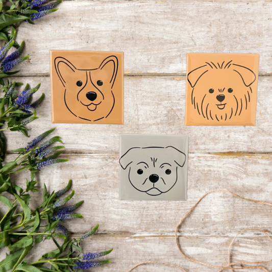 Set of 3 Custom Photo Magnets (2×2 in)